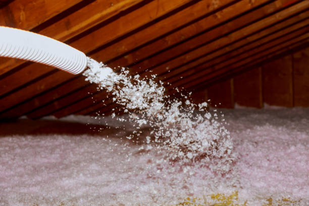 Professional Insulation Contractor in Orange, CA